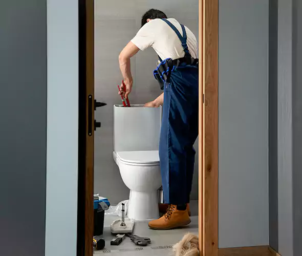 Professional Plumbers for Toilet Bowl Replacement in Clayton, NC: Schedule Affordable Toilet Replacement Services With Us