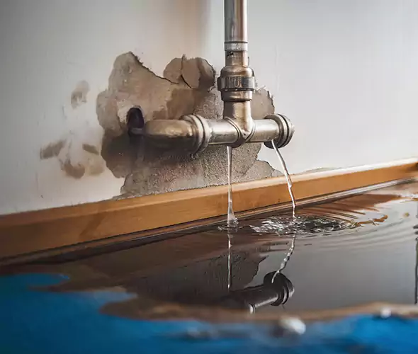 Professional Water Damage Restoration Experts in Clayton, NC — Fast, Reliable & Certified