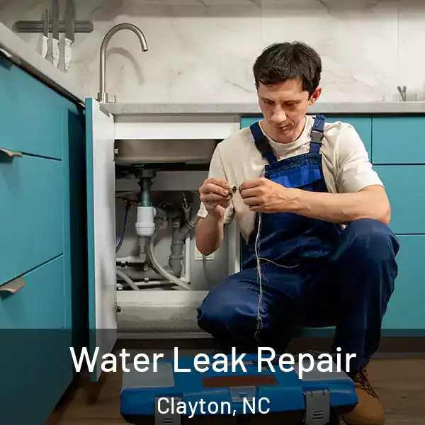  Water Leak Repair Clayton, NC